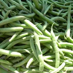 Fagiolini
