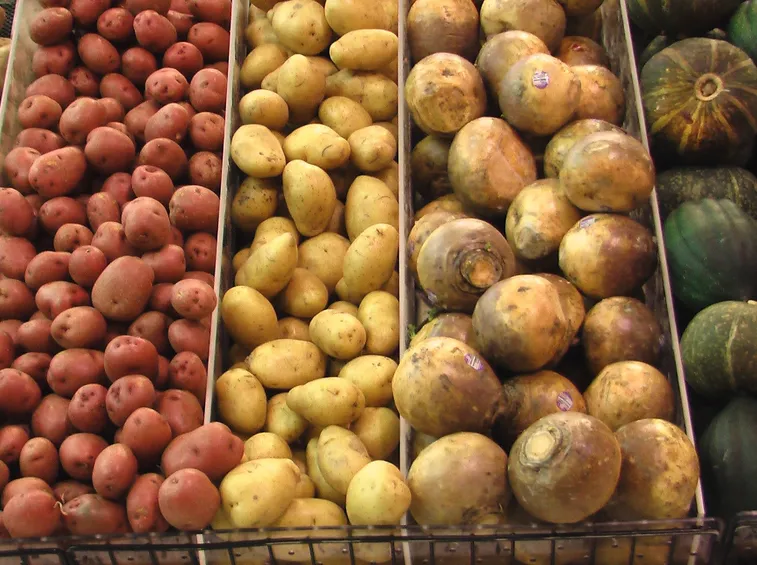Diverse varietà di patate