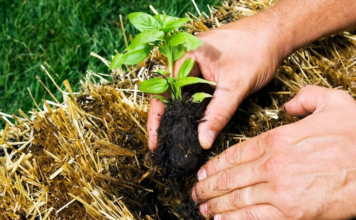 Concimazione naturale