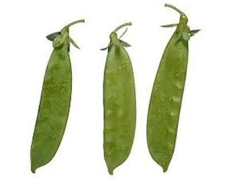 Fagiolini piattoni