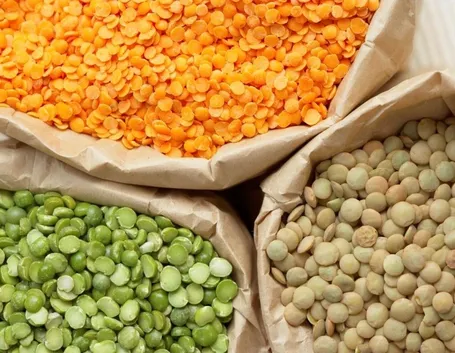 Varietà di lenticchie