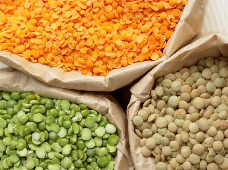 Varietà di lenticchie