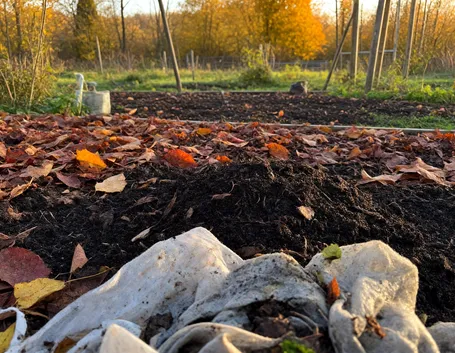 Preparare il terreno prima di seminare
