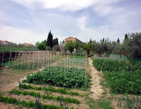 orto e giardino