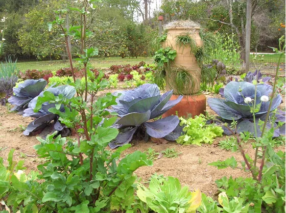 Esempio di orto giardino