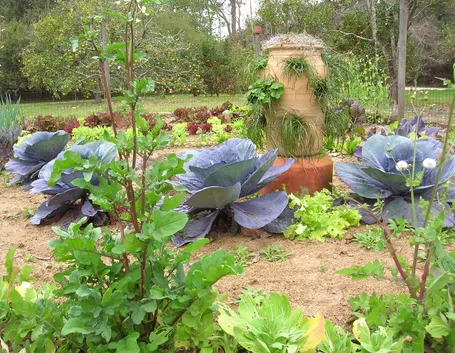 Esempio di orto giardino