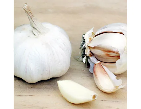 Aglio in fiore Trecce d'aglio appese