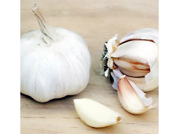 Aglio in fiore Trecce d'aglio appese