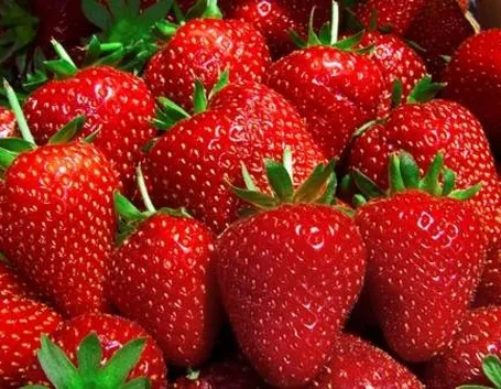 Fragole mature