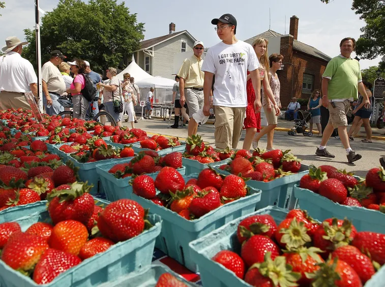 Le fragole si possono comprare: ma perché non coltivarle in casa?