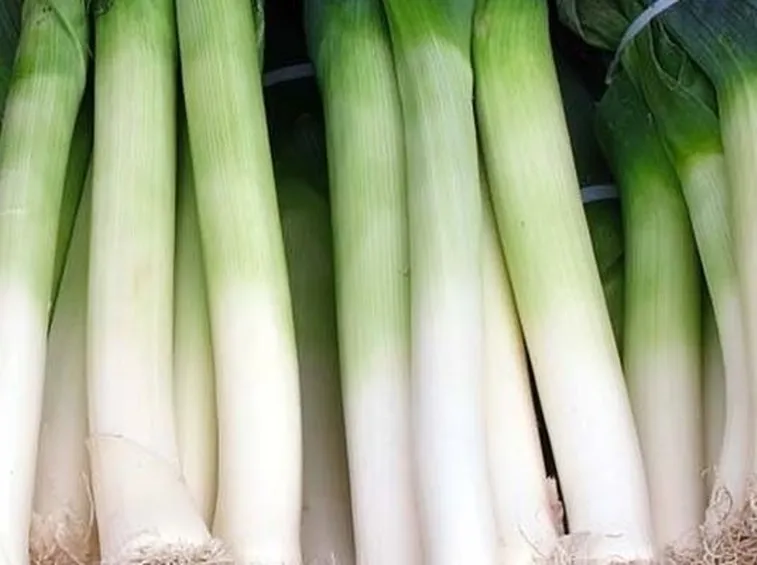 Porri raccolti