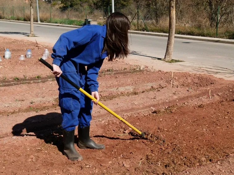 Preparazione del terreno