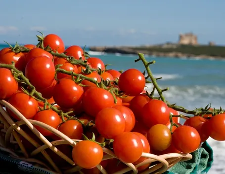 pomodoro