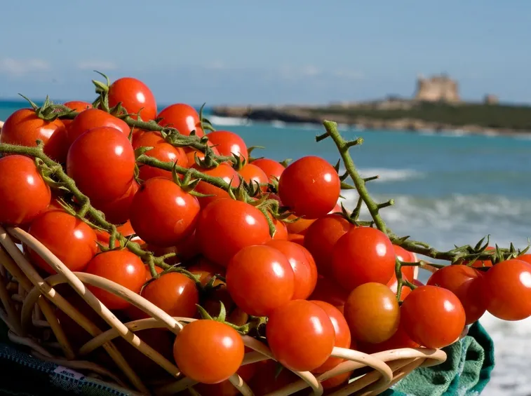 pomodoro