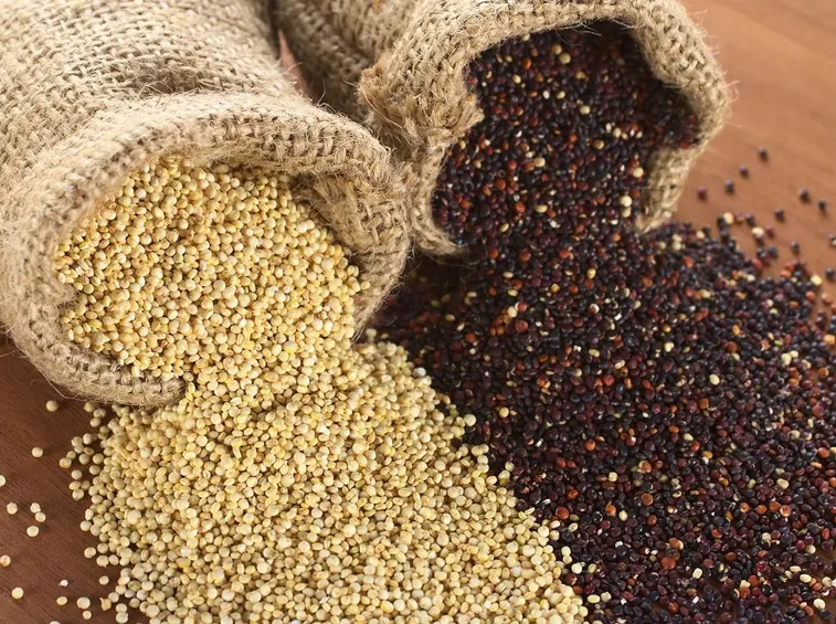 Semi di quinoa