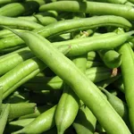 insieme di fagiolini verdi