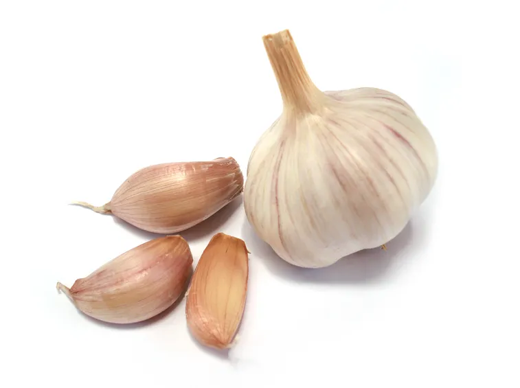 Bulbilli d'aglio