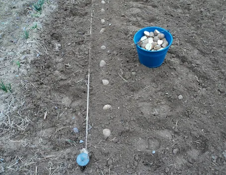 Operazioni semina patate