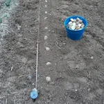 Operazioni semina patate