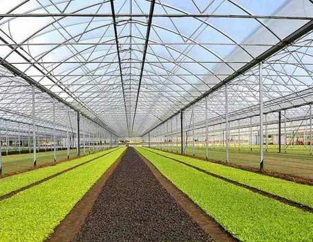 serra agricola campagna