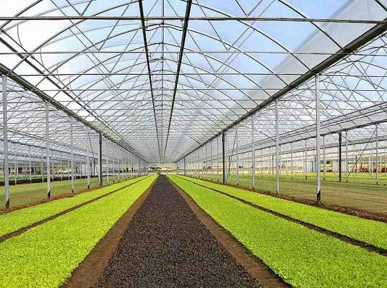 serra agricola campagna