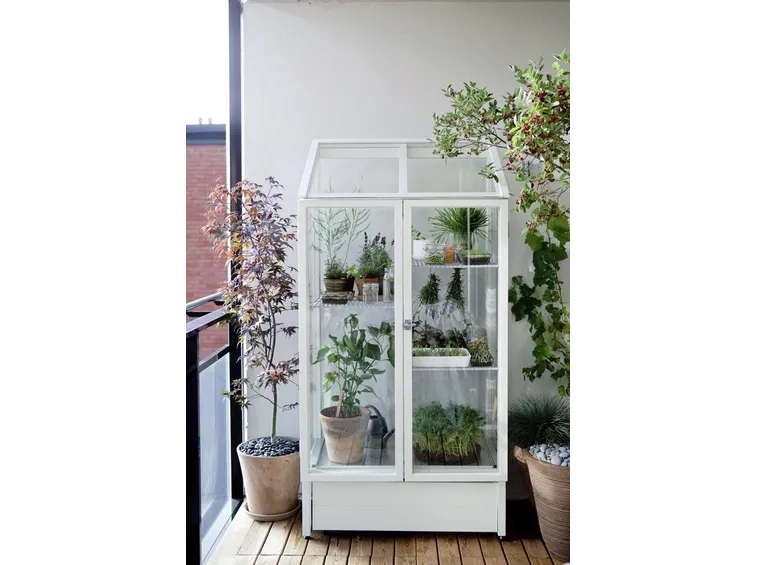 Piccola serra da balcone