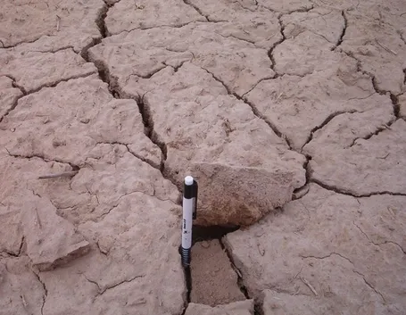 Terreno argilloso