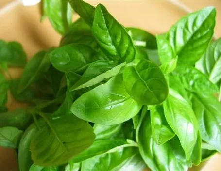 basilico