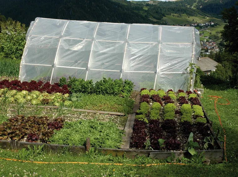 Domanda 4: come cambia il terreno dell'orto in inverno? E ora conta i punti