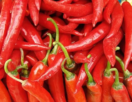 Foto peperoncino