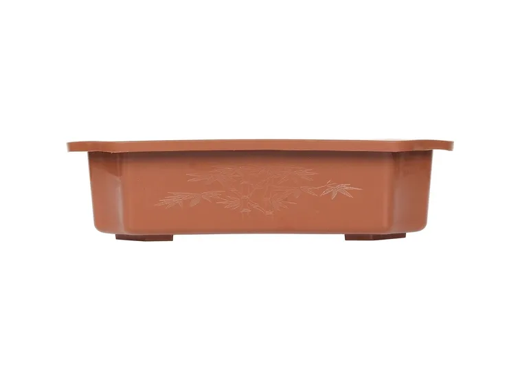 Vaso adatto al bonsai Ligustro