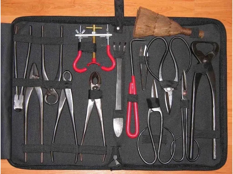 Kit di attrezzi per bonsai