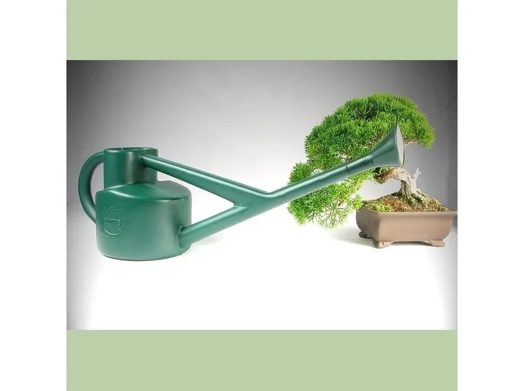 Il momento d'innaffiatura varia da bonsai a bonsai