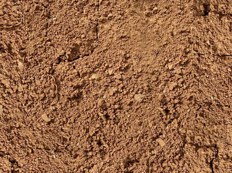 Argilla