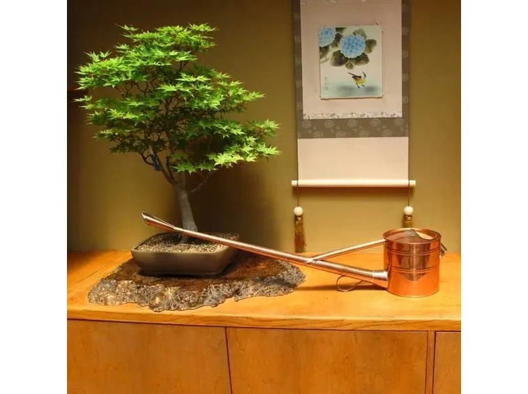 Gli strumenti migliori per innaffiare il vostro bonsai