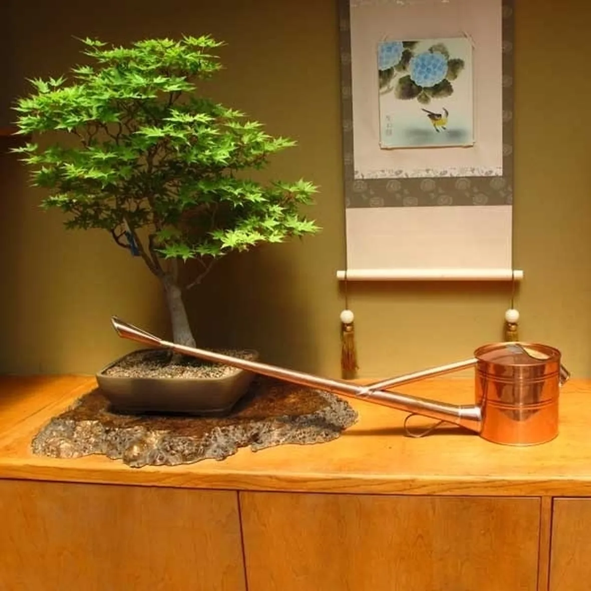 Gli strumenti migliori per innaffiare il vostro bonsai