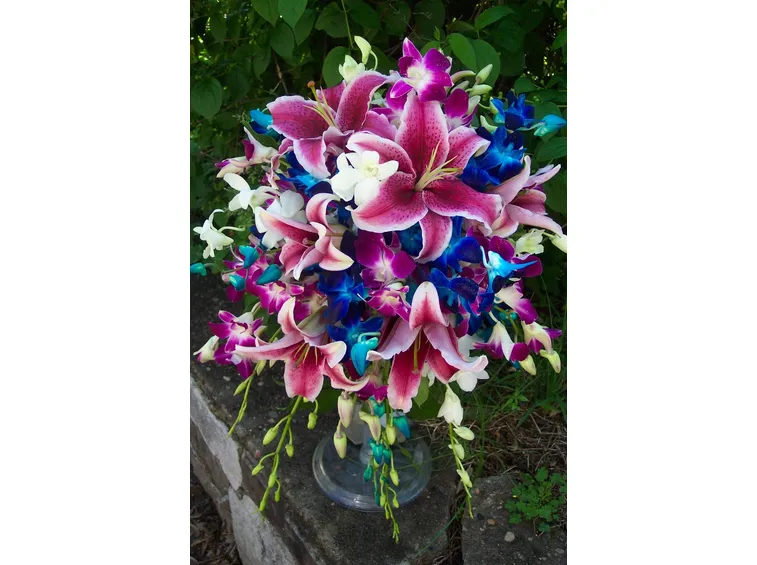 composizione dendrobium