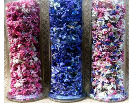 fiori colorati