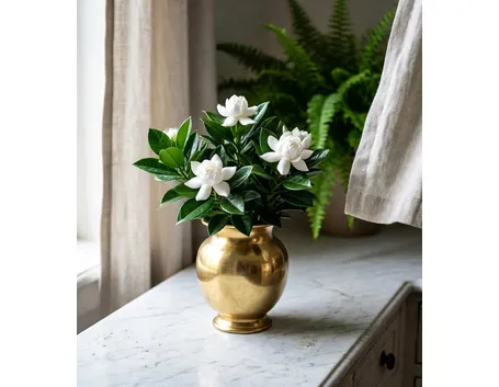 gardenia1_zps26eeae92