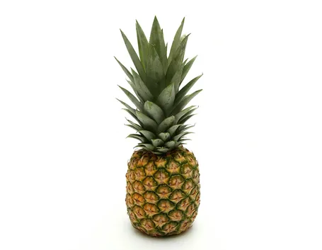 Taglio delle foglie di ananas