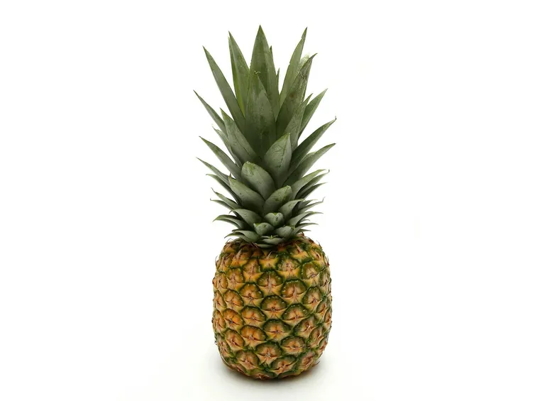 Taglio delle foglie di ananas