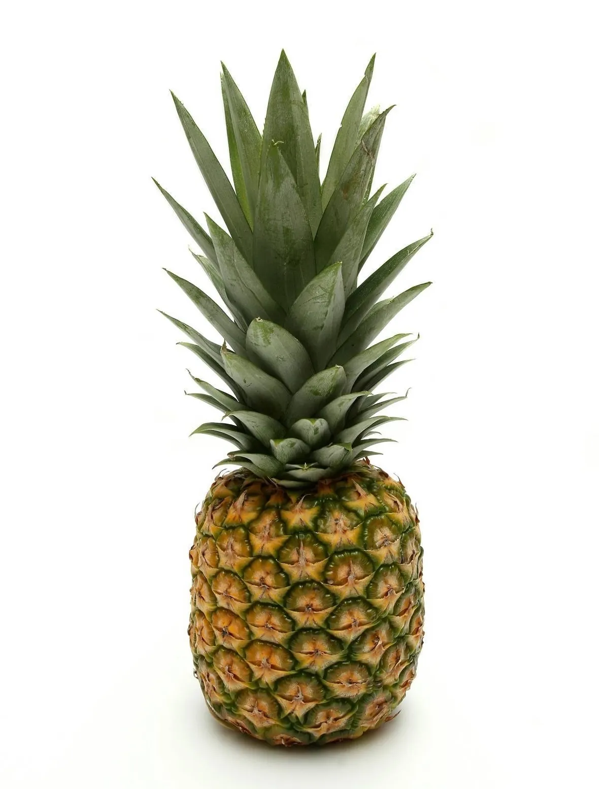 Taglio delle foglie di ananas