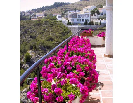 Bougainville