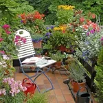 balconcino con piante