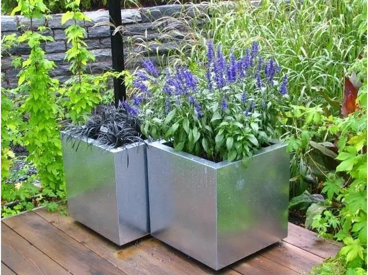Piante da fiore in vaso