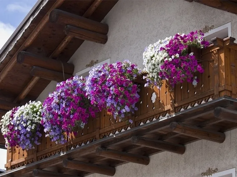 Balcone con fiori