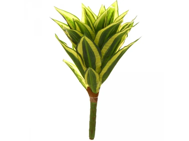 Tronchetto della felicità