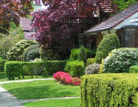 piante giardino