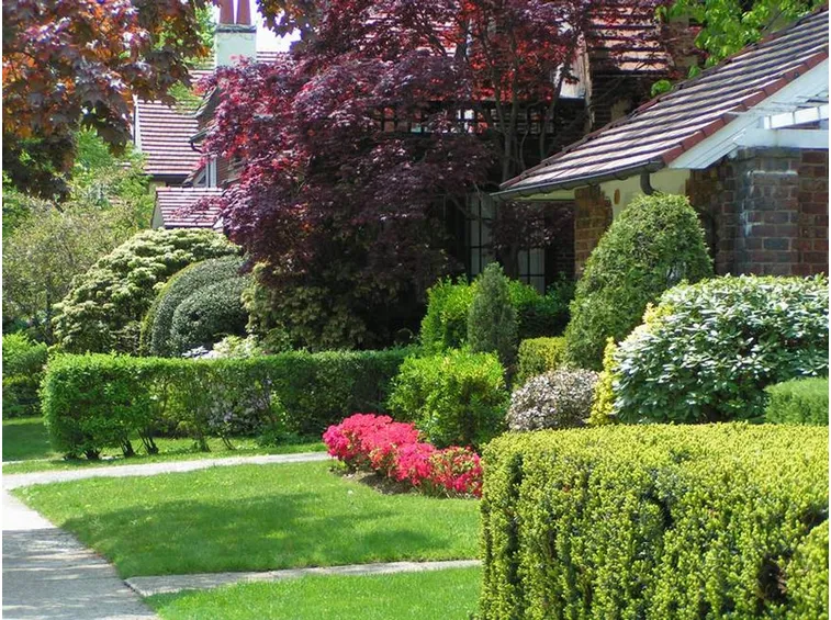 piante giardino