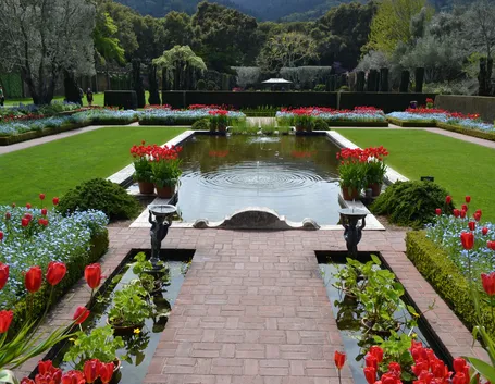 progettazione giardino